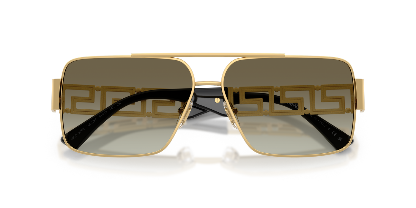 VERSACE 0VE2290