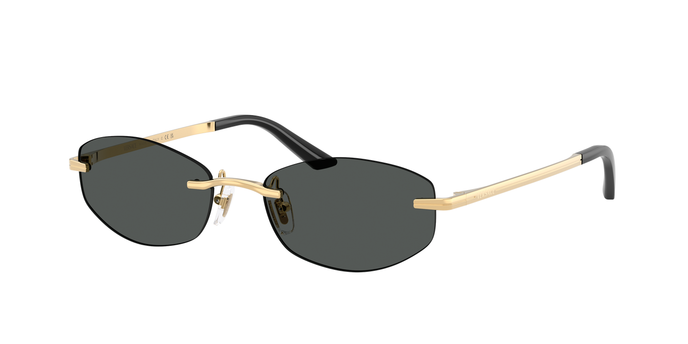VERSACE 0VE2308D